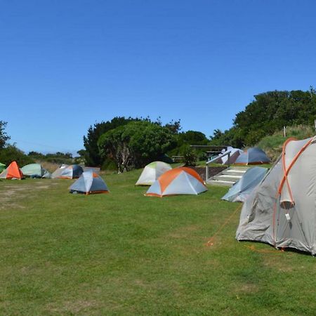 Dunedin Holiday Park מראה חיצוני תמונה