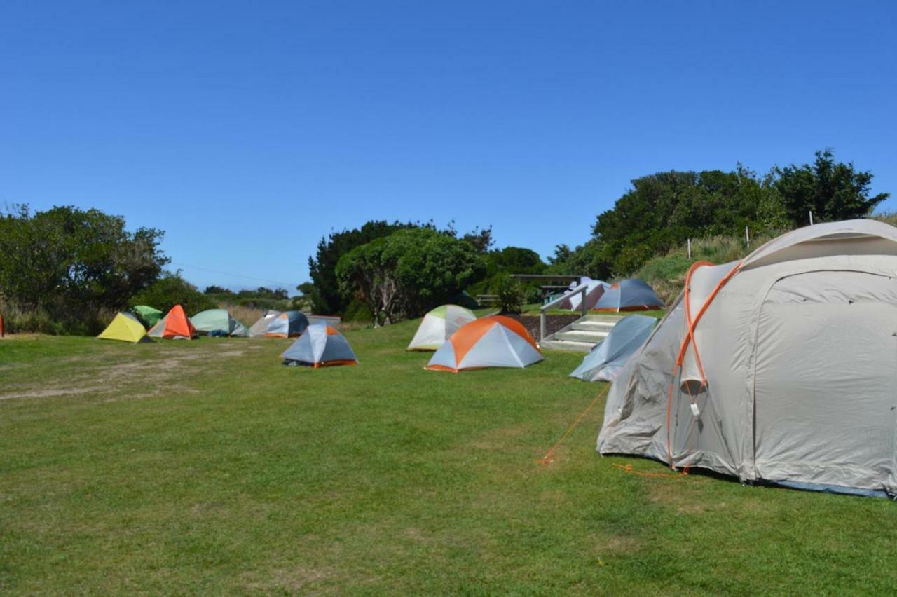 Dunedin Holiday Park מראה חיצוני תמונה
